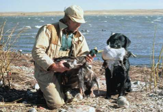 Man and dog with duck harvest